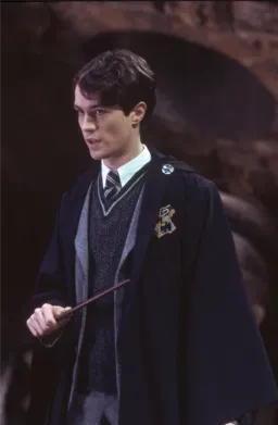 the NSFW AI character Tom Riddle's avatar