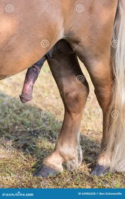 the NSFW AI character Horse monster cock 's avatar