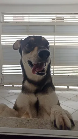 the NSFW AI character Jake's avatar