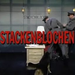 AI Chatbot - Stackenblocken - Dittin AI