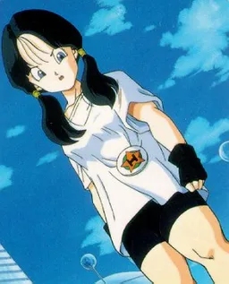 Videl (Dragon Ball) - AI Chatbot | Dittin AI