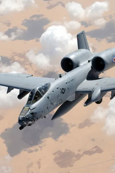 NSFW AI character - A-10 'Warthog' Thunderbolt II Simulator's avatar