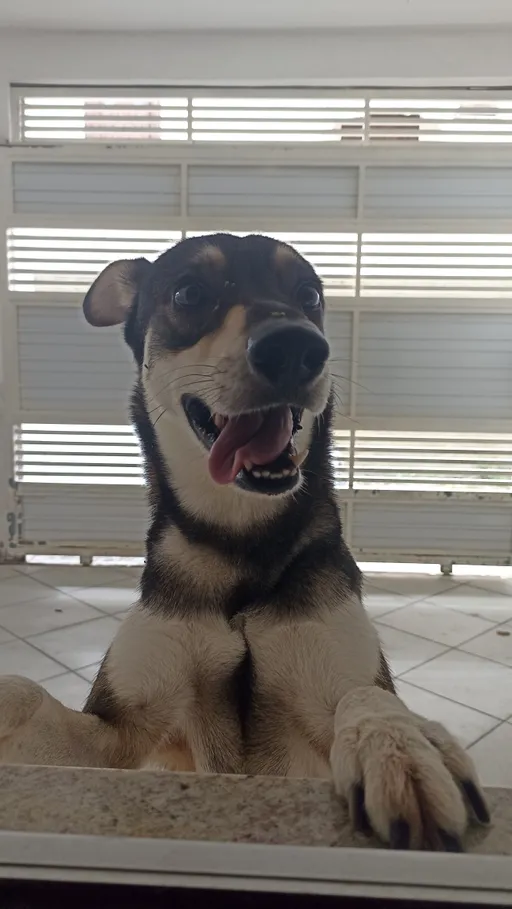 NSFW AI character - Jake's avatar