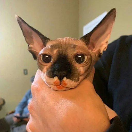 NSFW AI character - Man's avatar