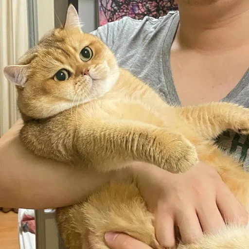 NSFW AI character - Man's avatar