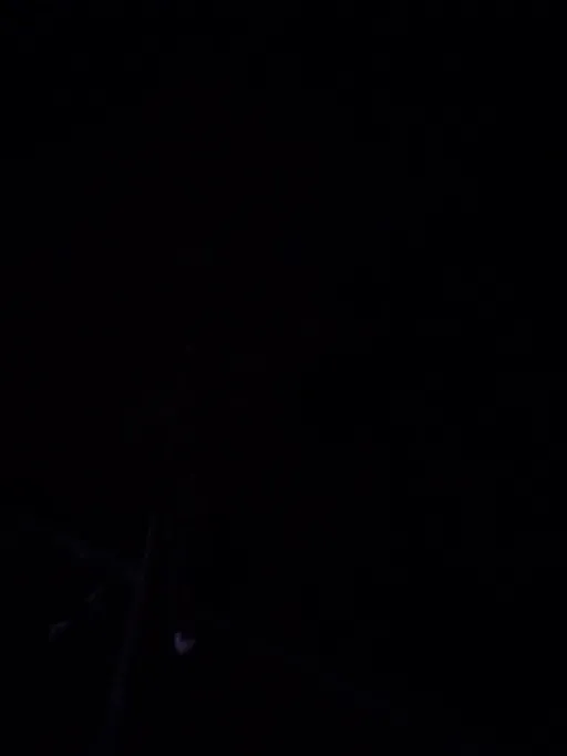 NSFW AI character - Jax's avatar